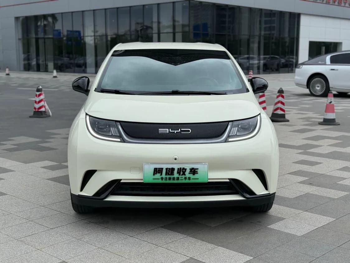 2023 BYD Dolphin