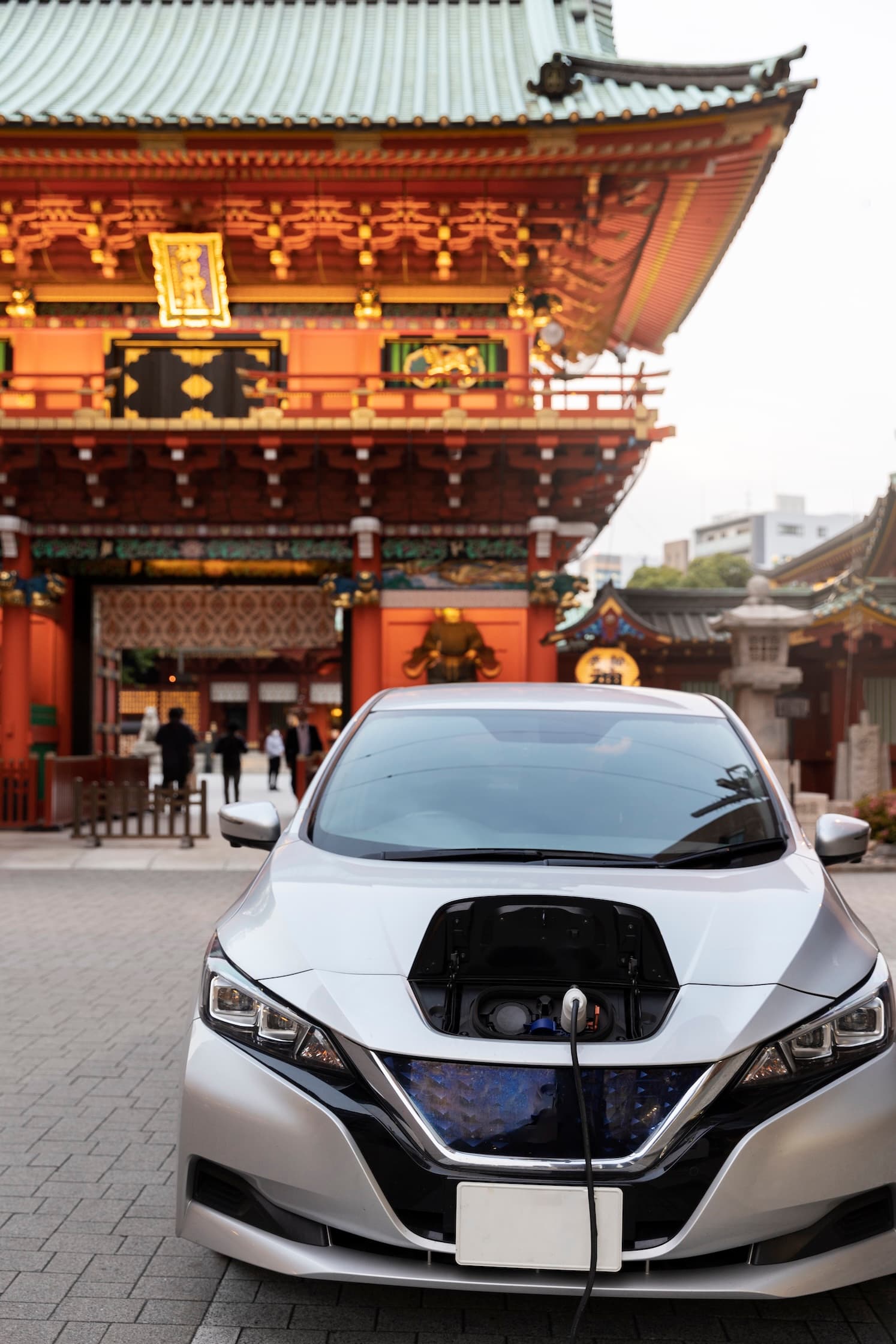 EREV vs Pure Electric: Which Is the Smarter Choice for African Roads in 2026?