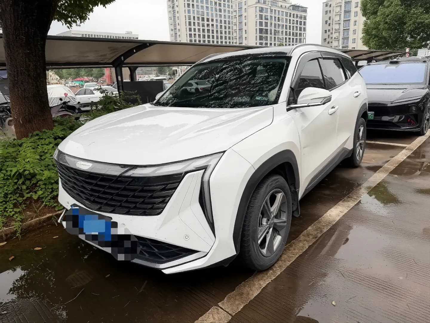 2023 Geely StarRay