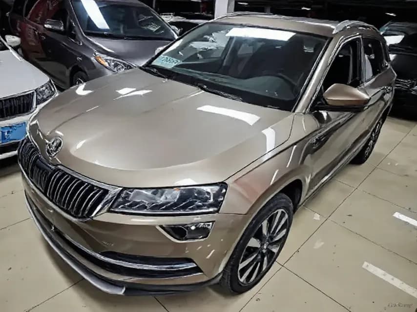 2019 Skoda Karoq