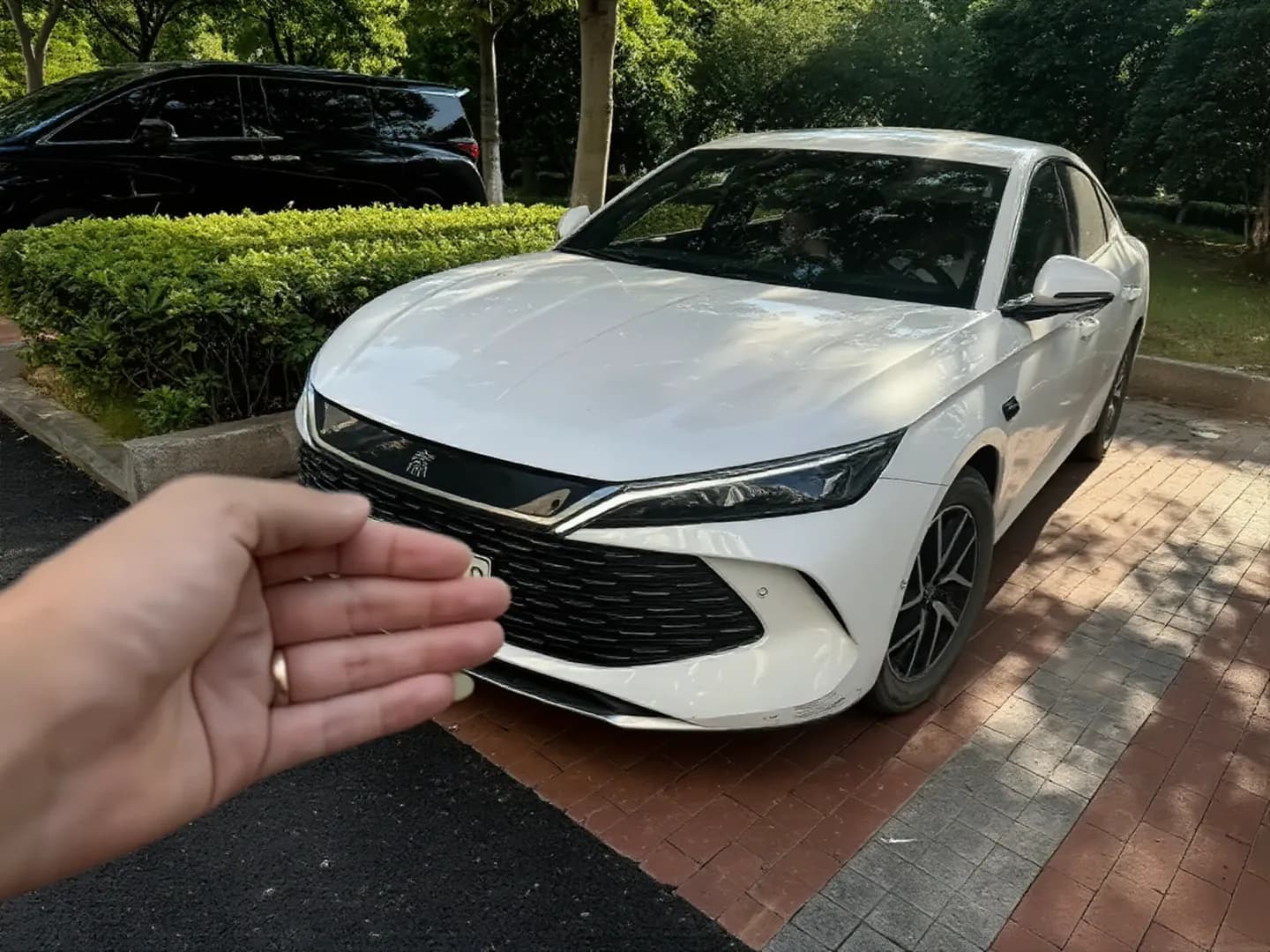2024 BYD Qin Plus